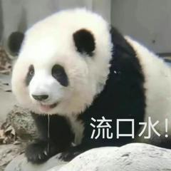 崩壞星穹鐵道藿藿遺器推薦